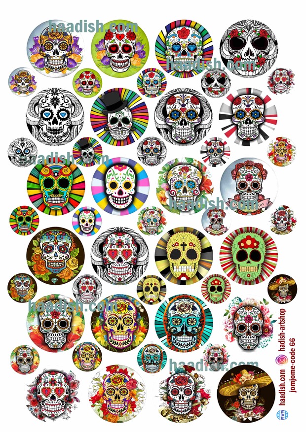 ترنسفر جمجمه (کد66)