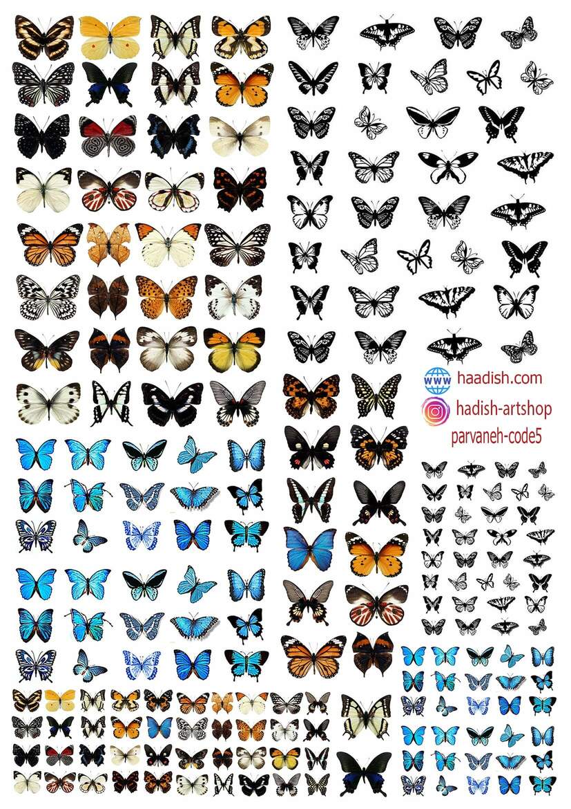 ترنسفر پروانه (کد5)