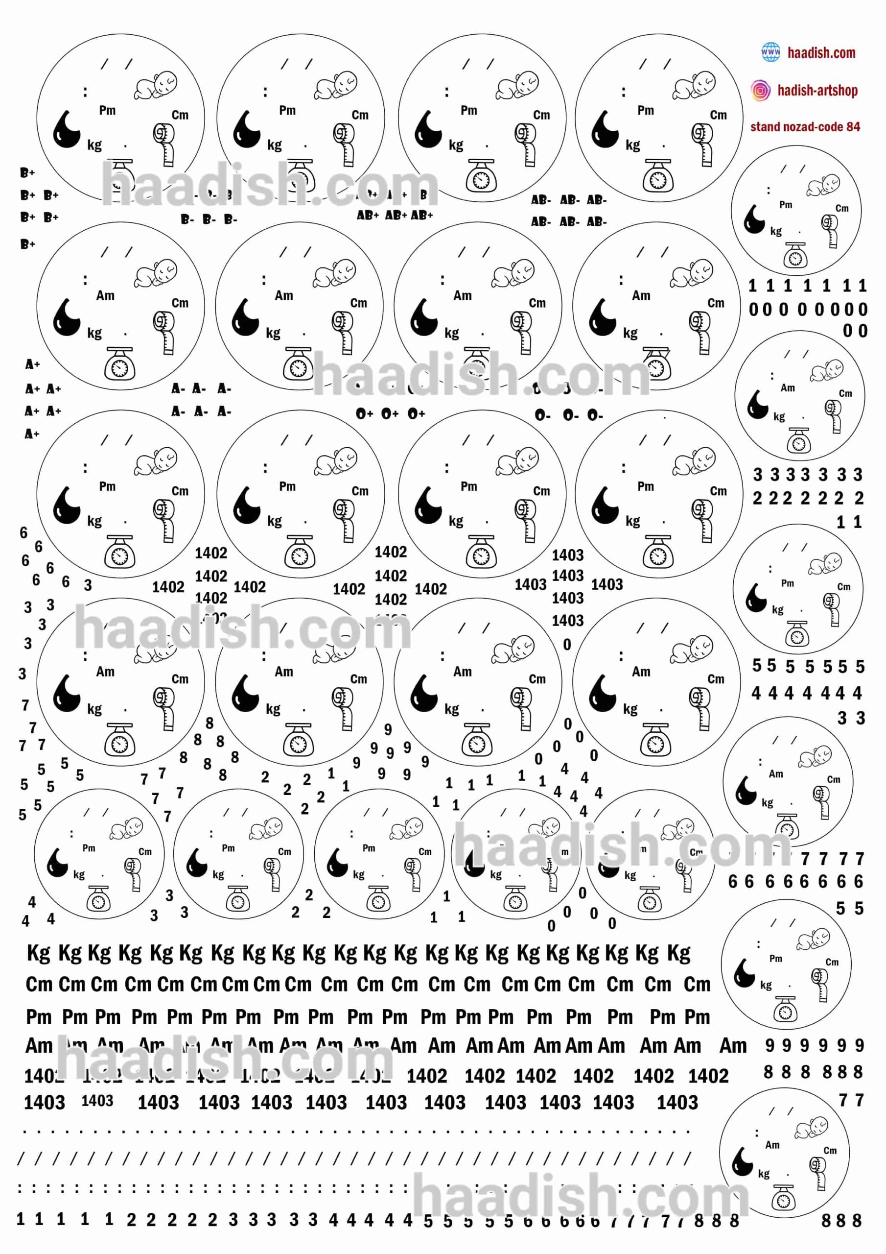 ترنسفر استند نوزاد (کد84)