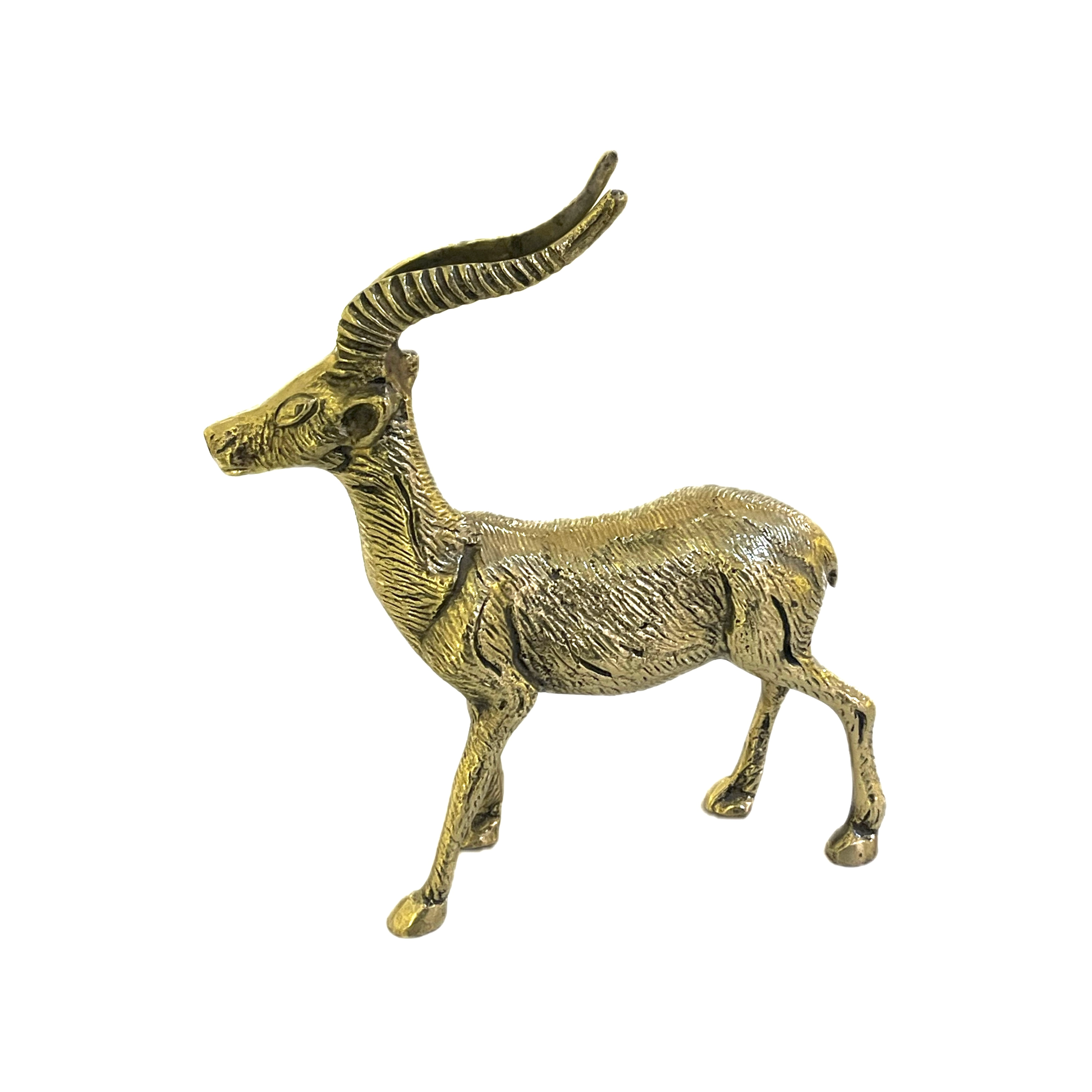 بز شاخدار ایرانی درجه یک برنجی