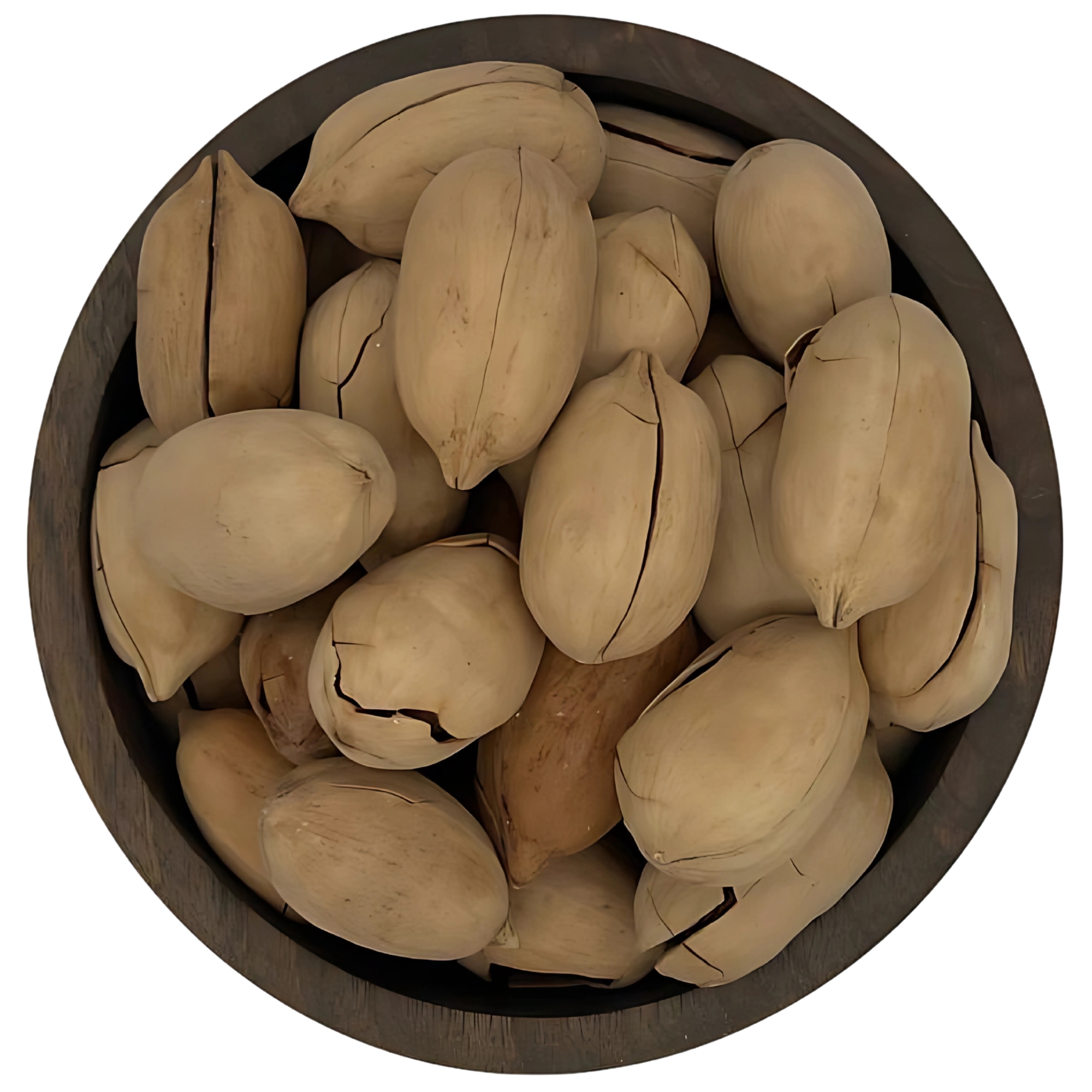 گردو پکان آمریکایی