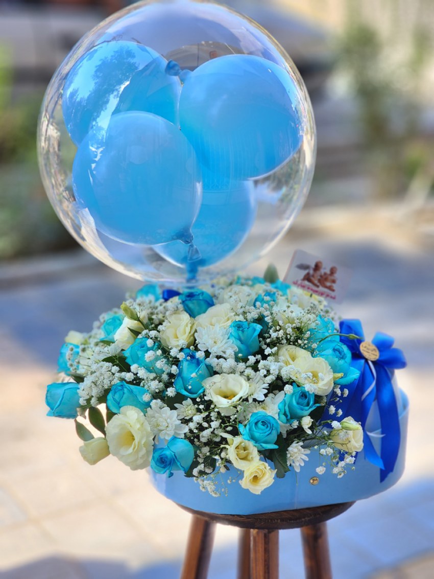 باکس نوزادی و بادکنک BN014