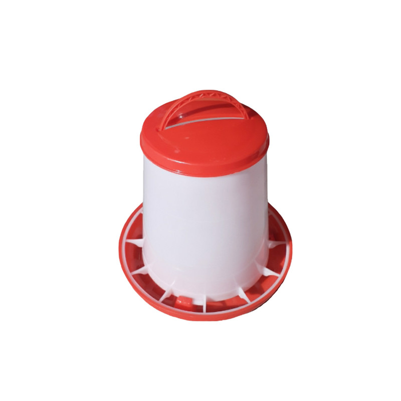 دانخوری کد 01