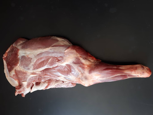 توضیحات تصویر