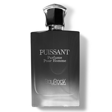 ادکلن مردانه بایراک پویسانت BayRock Puissant حجم 100 میل