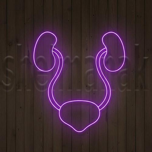 تابلو نئون طرح کلیه کد 5262 NE