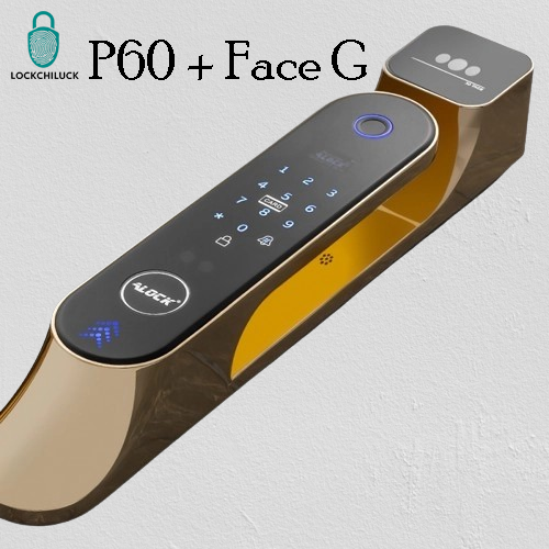 دستگیره اثر انگشتی P60+ Face G