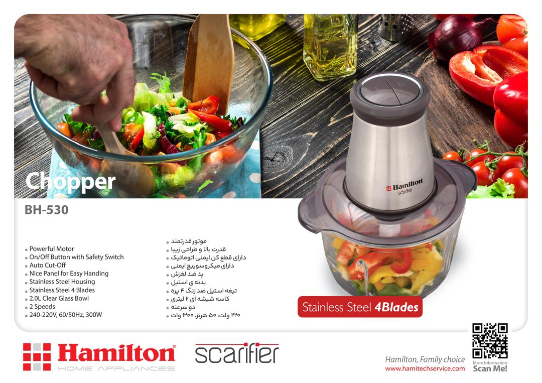 خردکن همیلتون BH-530-B