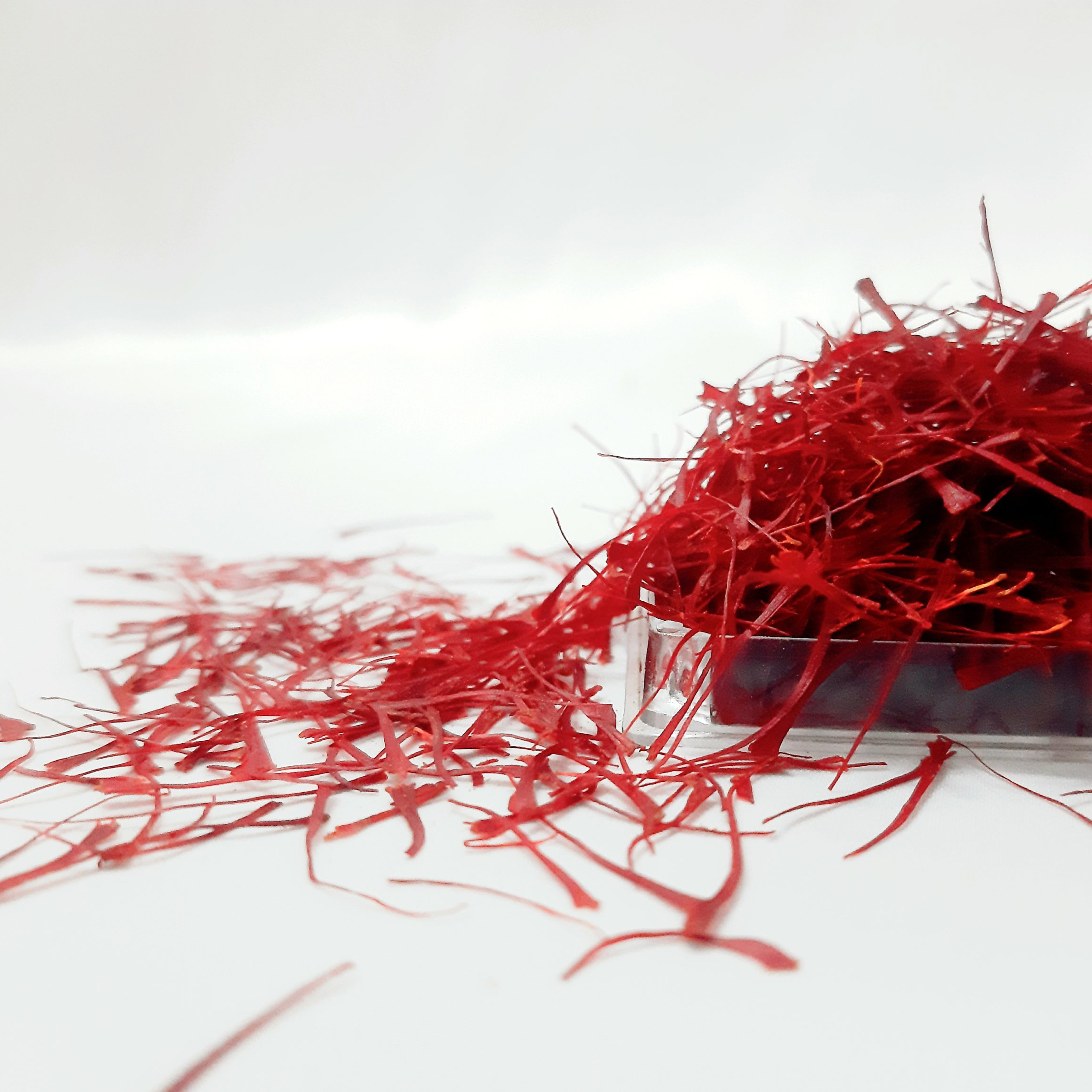 زعفران نگین پرسی