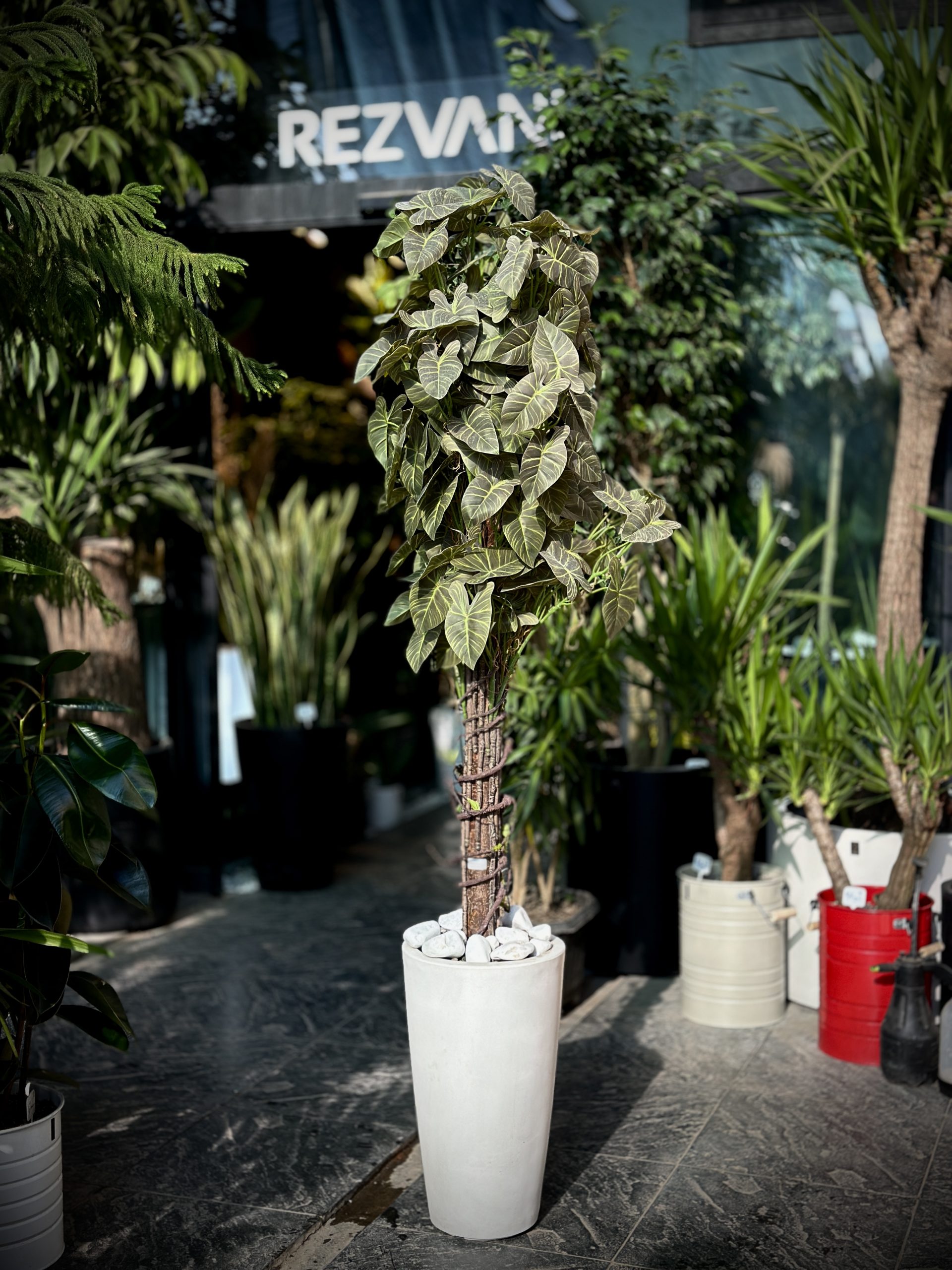 توضیحات تصویر