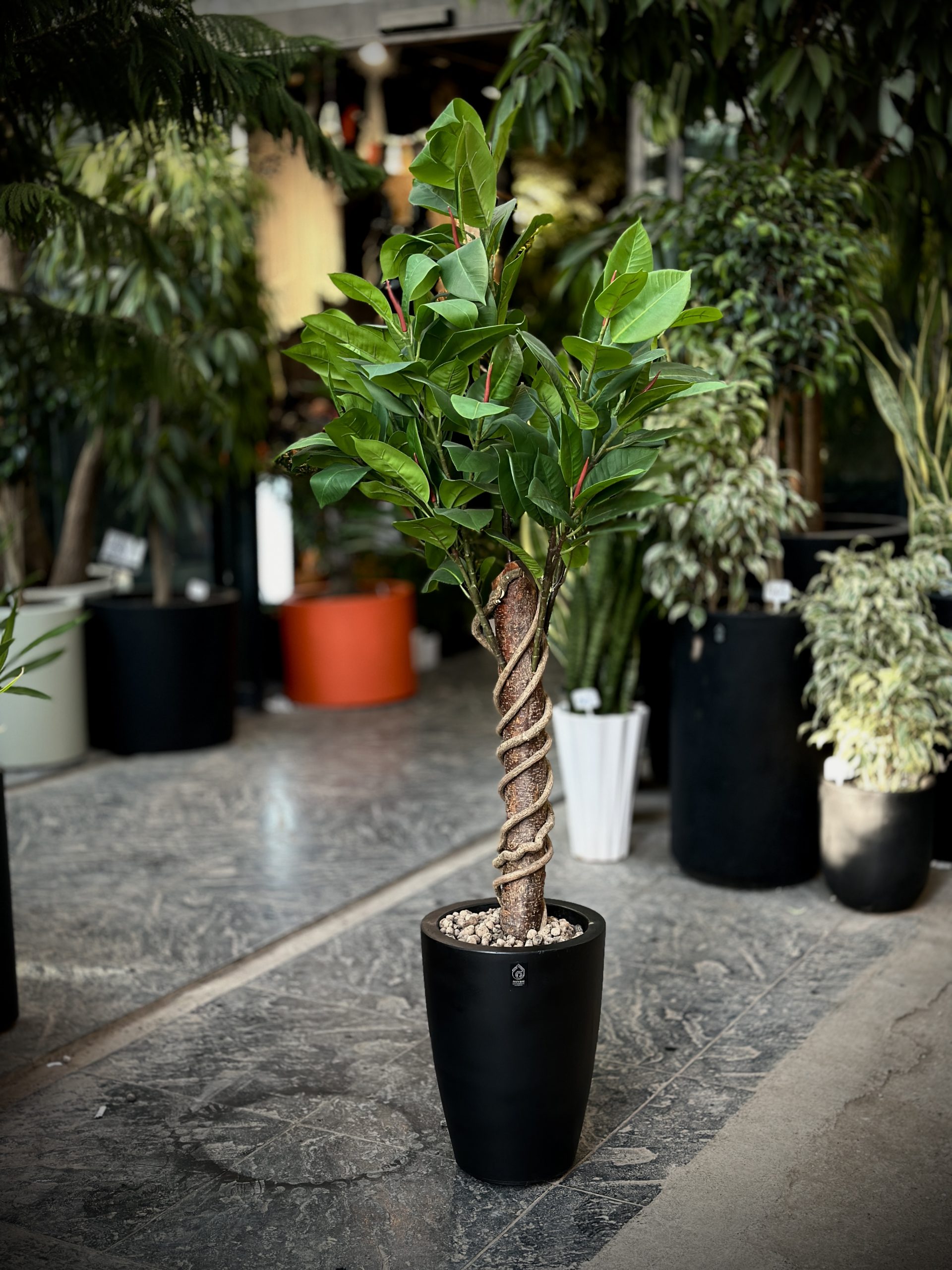 توضیحات تصویر