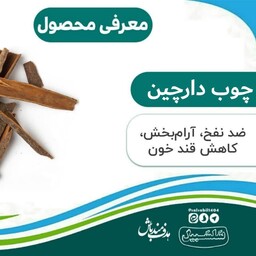 چوب دارچین ( قلم دارچین) سلسبیل