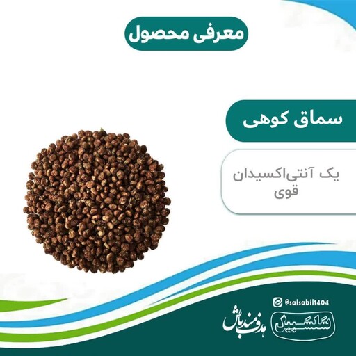 سماق کوهی در بسته بندی 100 گرمی سلسبیل 