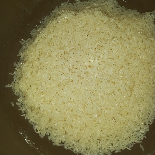 برنج هاشمی بدون ناخالصی و بدون واسطه خرید مستقیم از کشاورز