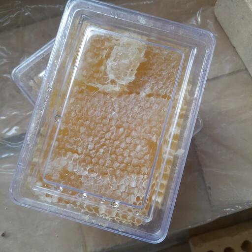 عسل طبیعی موم دار 700 گرمی آفتابگردان با ارسال رایگان به کل ایران طعمی واقعی و متفاوت از آنچه تا کنون به نام عسل دیده ای