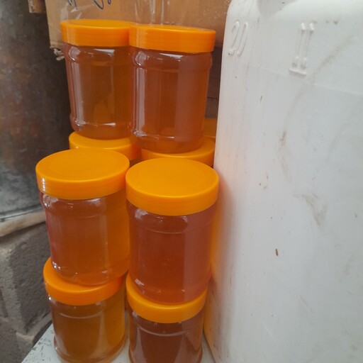 عسل طبیعی  نیم کیلویی  از شهد گلهای آفتابگردان با ارسال رایگان به تمام ایران 