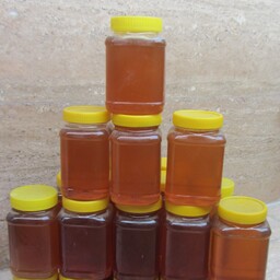 عسل طبیعی ارگانیک کوهستان ( یک کیلوگرم ) ارسال رایگان