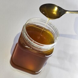 عسل طبیعی بهاره (نیم کیلویی)بدون موم