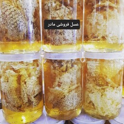عسل وحشی شاخه ای موم وشهد(عسل فروشی مادر)
