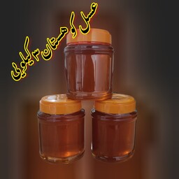 عسل طبیعی کوهستان(برداشت درکوه گرین) ازشهدچندین گیاه، ارسال رایگان