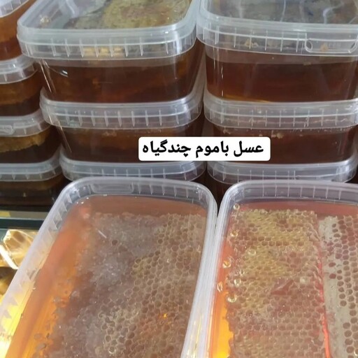 عسل  صاف وموم دار گون و گشنیز 1 کیلویی ( مستقیم از زنبوردار )