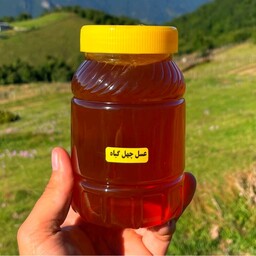 خرید عسل طبیعی چهل گیاه 1 کیلیویی لرستان ( مستقیم از زنبوردار ) ارسالشم رایگان 