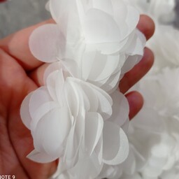 گل حریر سفید  به صورت دانه ای