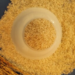 برنج علی کاظمی گیلان امساله(بسته50کیلوئی)