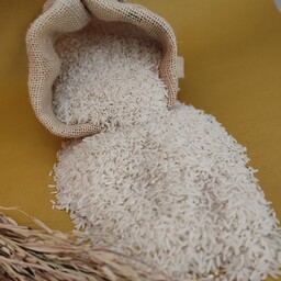 برنج هاشمی اعلاء گیلان امساله(بسته50کیلوئی
