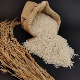 برنج هاشمی اعلاء گیلان امساله(بسته های 10کیلوئی)