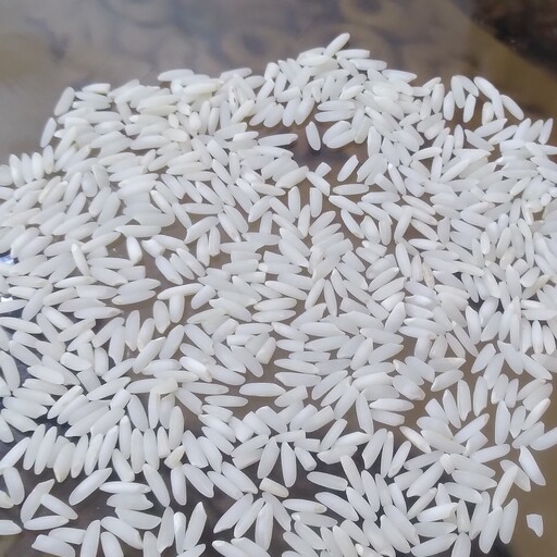 برنج علی کاظمی معطر محصول امسالی بسته 10 کیلویی