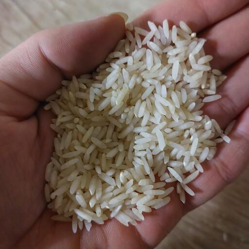 برنج کشت دوم اعلا شمال امساله (5 کیلوگرم)