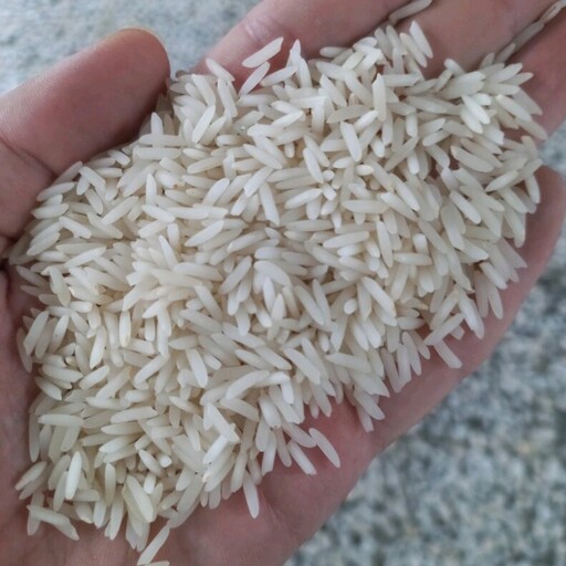 برنج شیرودی اعلا شمال امساله (5 کیلوگرم)