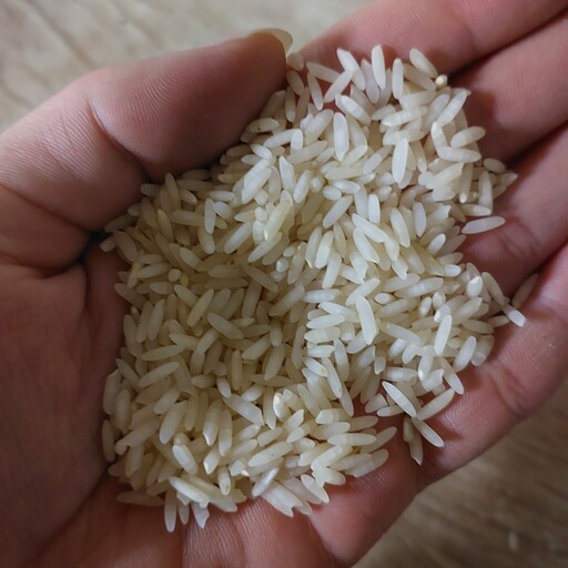 برنج کشت دوم اعلا شمال امساله (10 کیلوگرم)