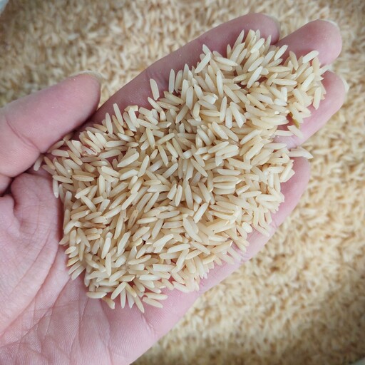 برنج فجر اعلاء (10 کیلوگرم)