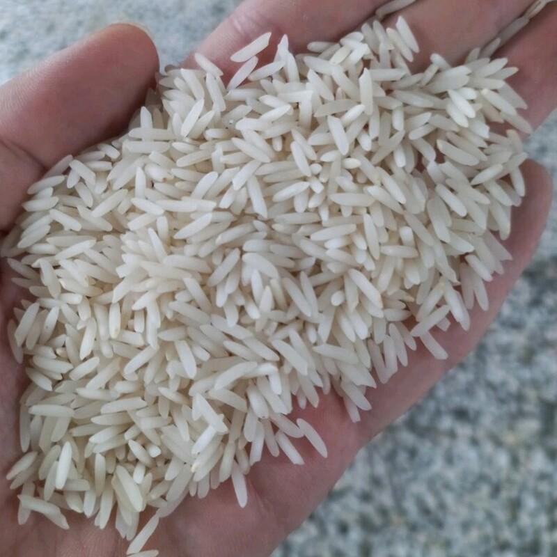برنج شیرودی اعلا شمال امساله (20 کیلوگرم)