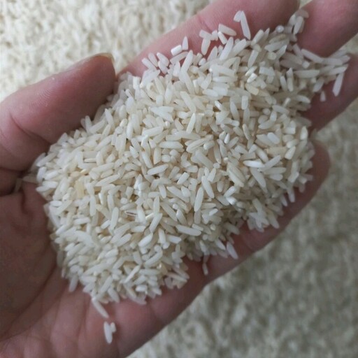 برنج سرلاشه طارم شمال امساله (5 کیلوگرم)