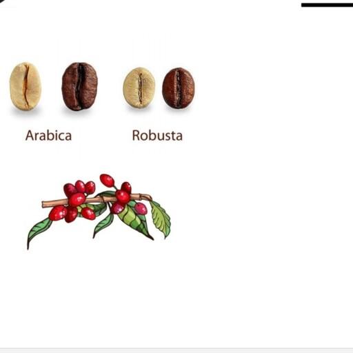 قهوه میکس 70 درصد روبوستا 30 درصد عربیکا (مدیوم) 1 کیلویی  رست تازه 
