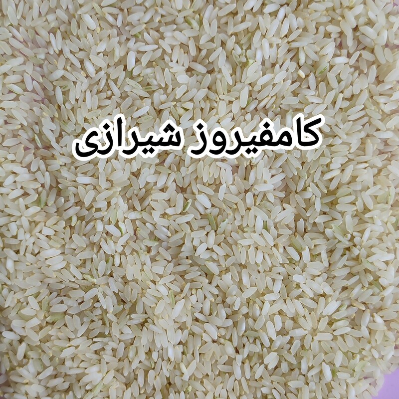 برنج کامفیروز شیراز اعلا خوش پخت طبع گرم برنج کامفیروزی برنج شیرازی برنج جنوب(2کیلوئی)