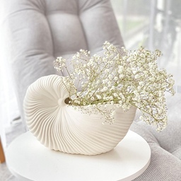 گلدان صدفی مینیمال سفید در دو سایز