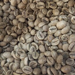 قهوه سبز   اعلا  100 گرمی تقوی گوارش افزایش سوخت وساز بدن 