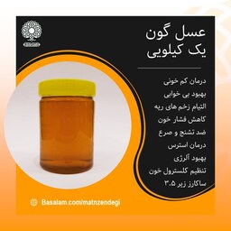 عسل گون یک کیلویی (کیفیت تضمینی و طبیعی)