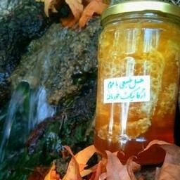 عسل جنگی موم و شهد 1 کیلویی جنگل های شمال کشور (عسل فروشی آتابال)