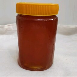 عسل طبیعی چهل گیاه عسل کوهستان عسل ارگانیک  عسل صبحانه عسل نیم کیلویی  500گرم