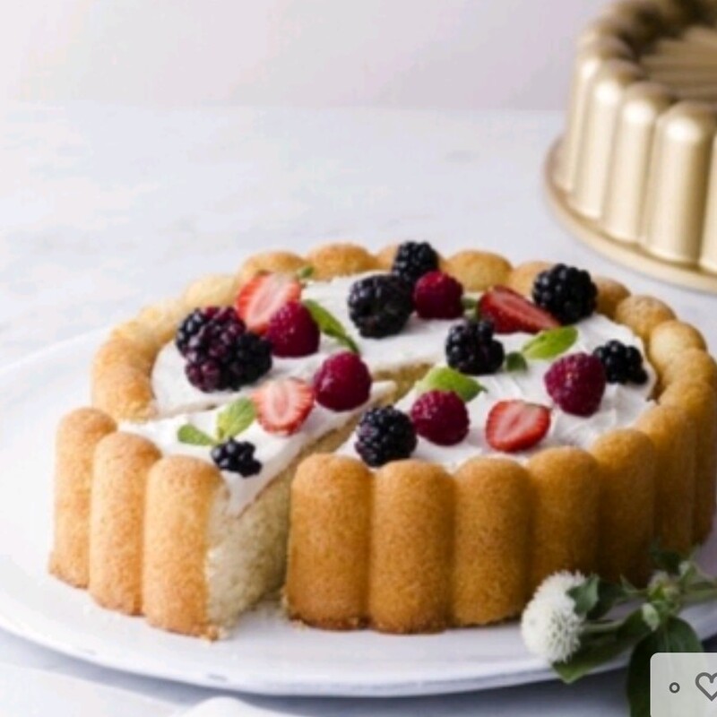 قالب گرانیتی  کیک طرح شارلوت ساده ، قطر 26 سانت مناسب انواع کیک و دسر و ژله و...