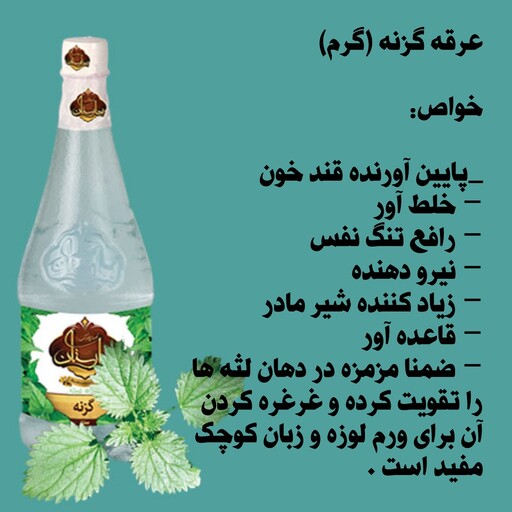 عرق گزنه