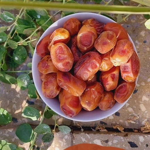 خرما زاهدی (قصب)