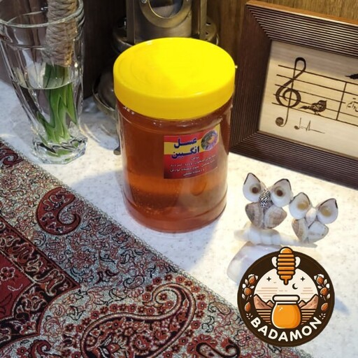 عسل طبیعی گزانگبین یک کیلویی  دامنه سبزکوه بختیاری (چهارمحال و بختیاری) 