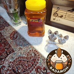 عسل  طبیعی یک کیلویی گون دامنه سبزکوه بختیاری(چهارمحال و بختیاری) 