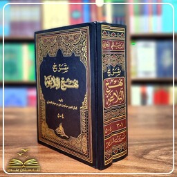 شرح نهج البلاغه (دوجلدی) ابن میثم بحرانی (عربی)